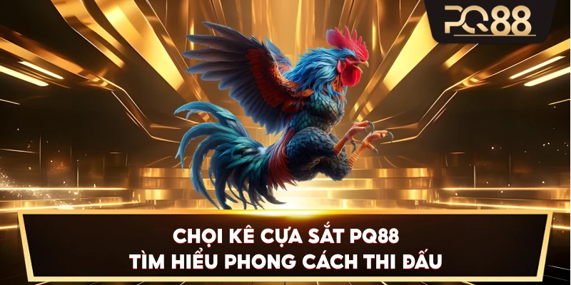 Chọi Kê Cựa Sắt PQ88 tìm hiểu phong cách thi đấu