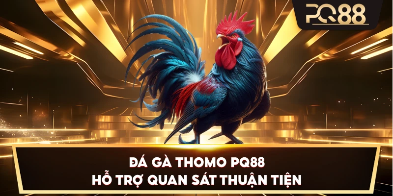 Đá Gà Thomo PQ88 hỗ trợ quan sát thuận tiện