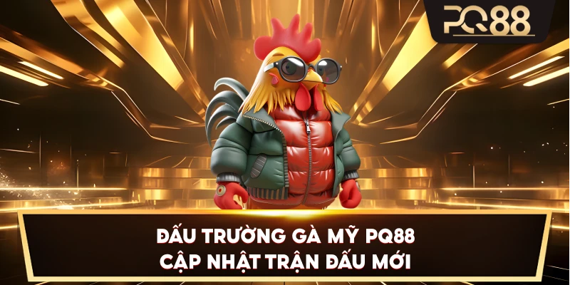 Đấu Trường Gà Mỹ PQ88 cập nhật trận đấu mới