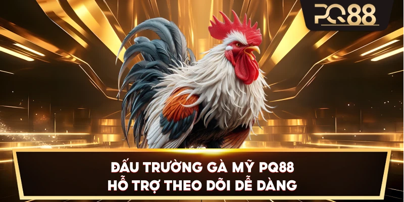 Đấu Trường Gà Mỹ PQ88 hỗ trợ theo dõi dễ dàng