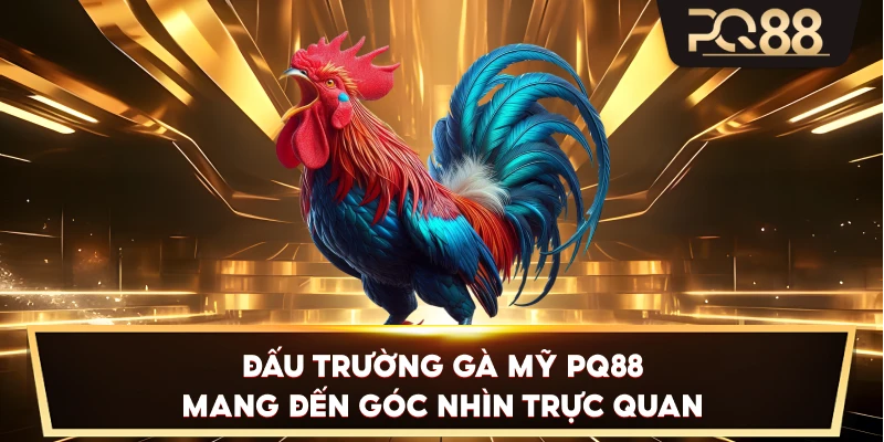 Đấu Trường Gà Mỹ PQ88 mang đến góc nhìn trực quan