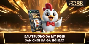 Đấu Trường Gà Mỹ PQ88 – Sân chơi đá gà nổi bật