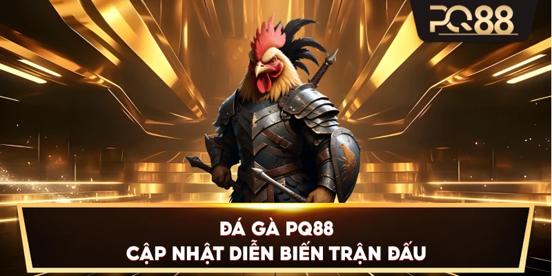 Đá Gà PQ88 cập nhật diễn biến trận đấu