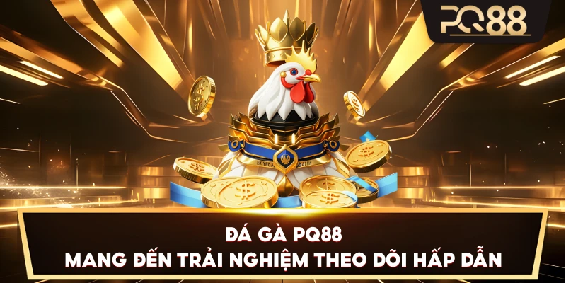 Đá Gà PQ88 mang đến trải nghiệm theo dõi hấp dẫn
